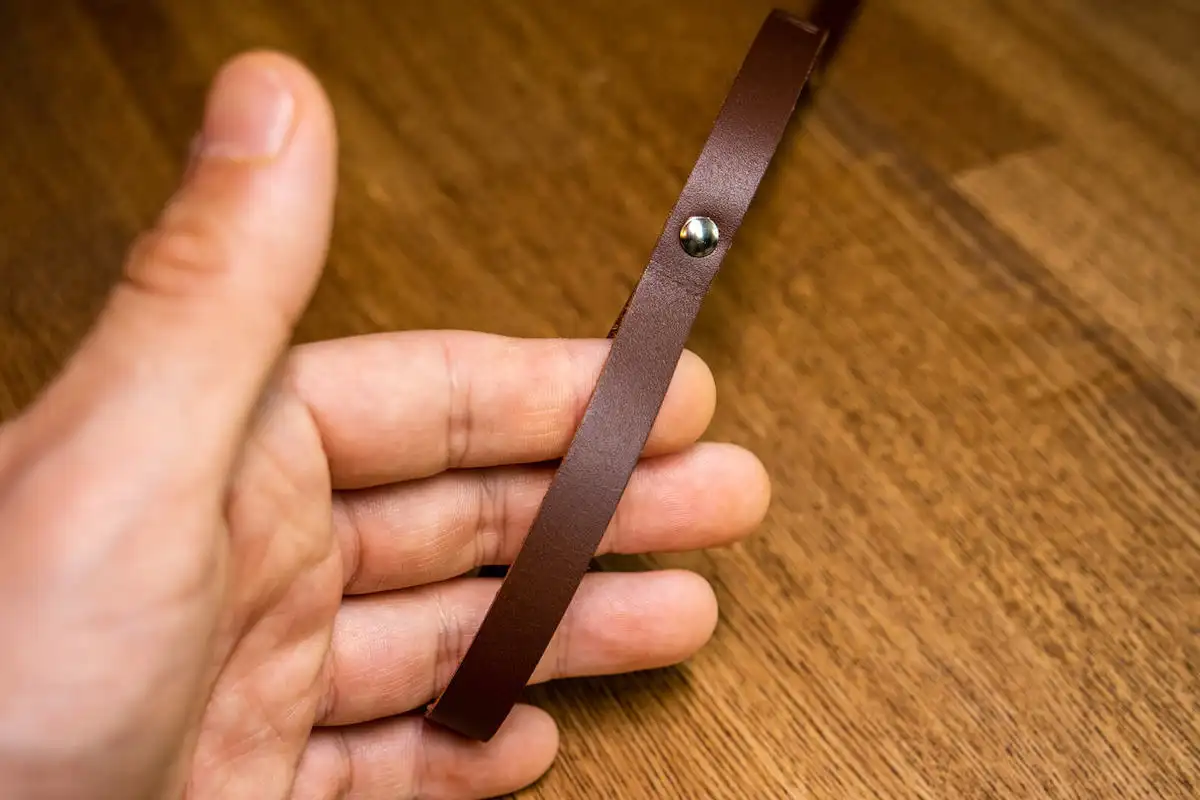 フトアゴヒゲトカゲ用ハーネス専用のリード