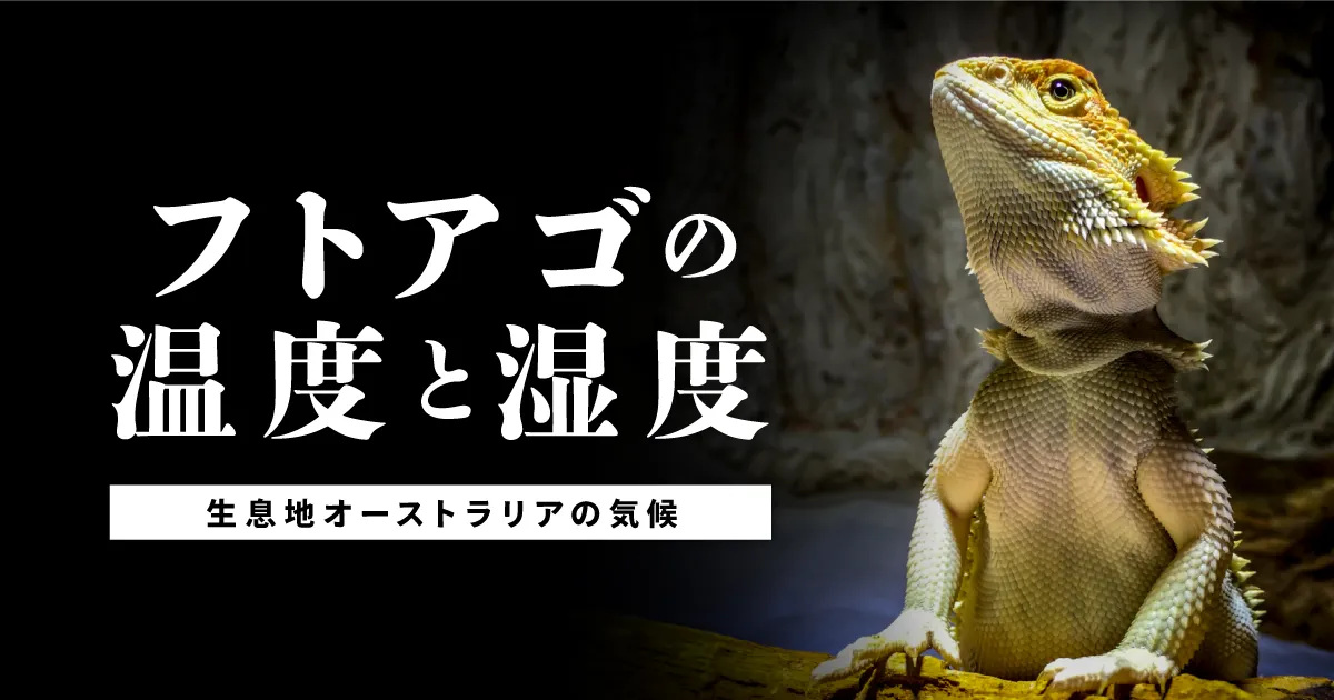 フトアゴヒゲトカゲの温度と湿度 | 生息地オーストラリアの気候