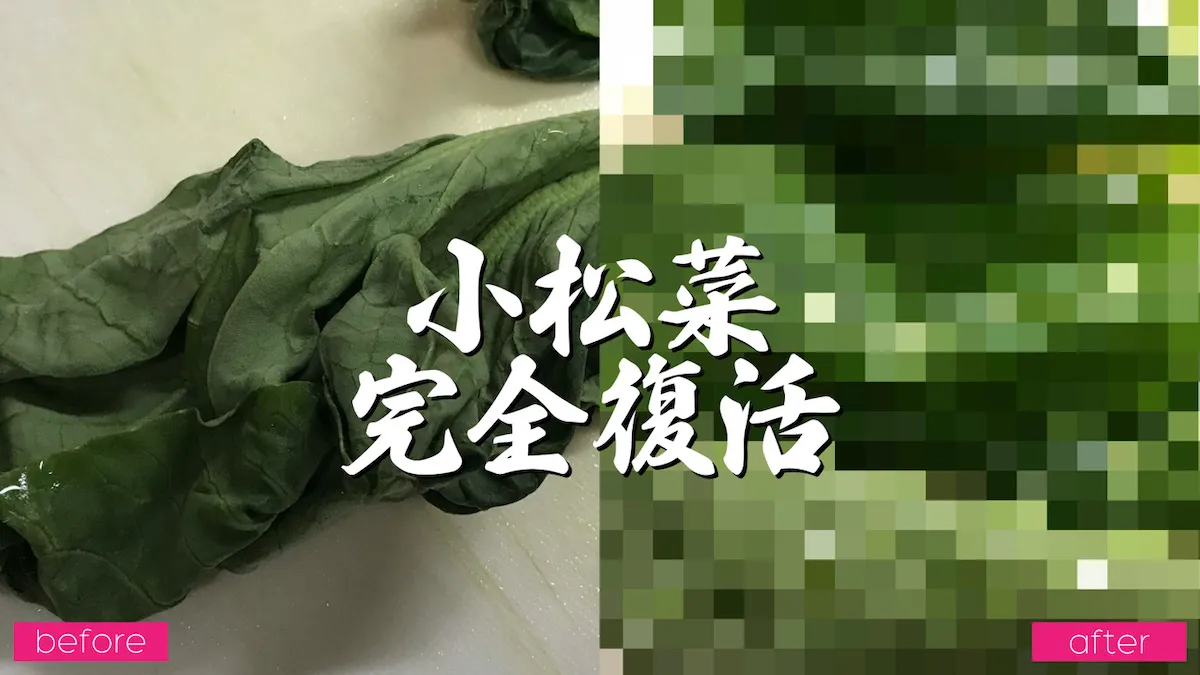 しなびた(しおれた)小松菜をシャキッと復活させる方法