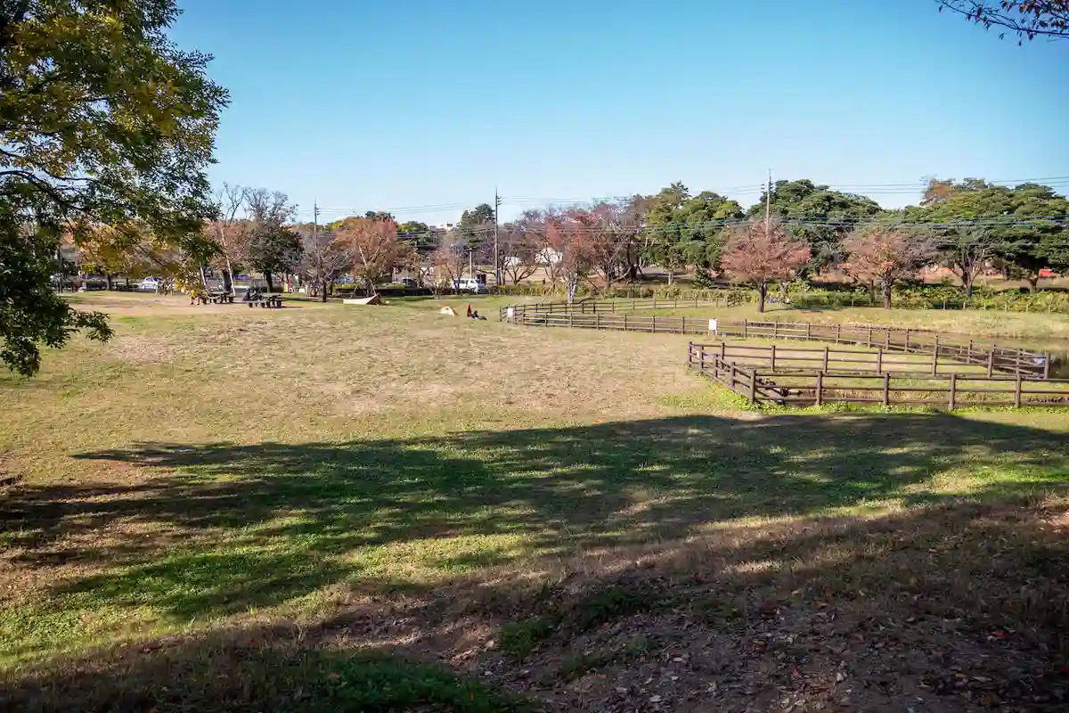 大泉さくら運動公園 野外炊事広場