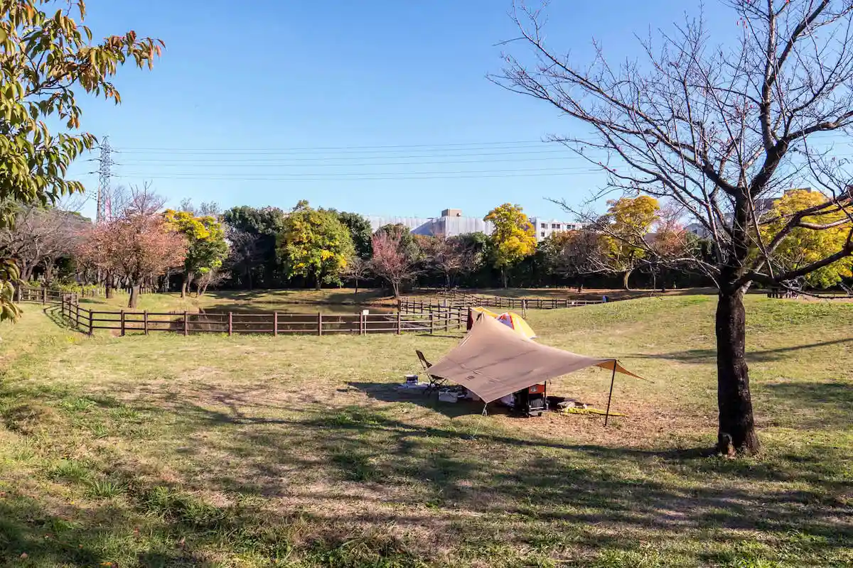 大泉さくら運動公園の低い平地