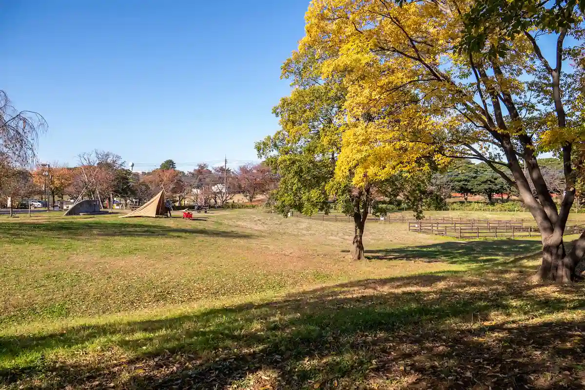 大泉さくら運動公園の高い平地
