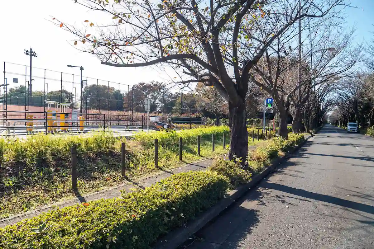 大泉さくら運動公園の駐車場への入り口