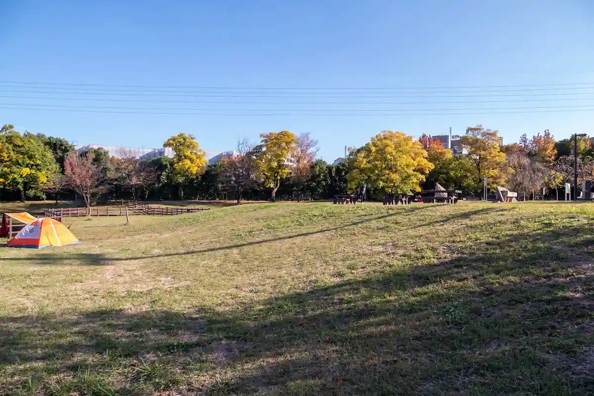 大泉さくら運動公園の高台へ続く傾斜